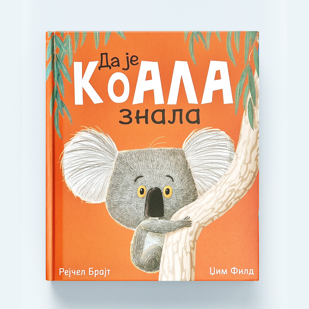 koala