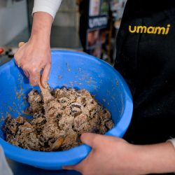 sq umami 06