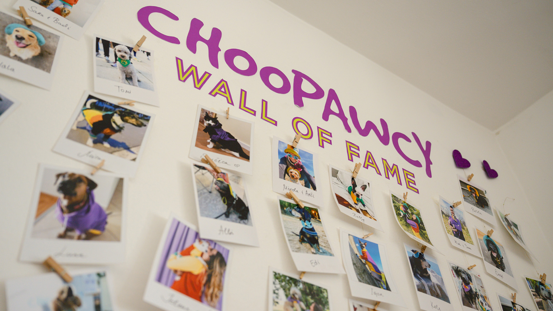 choopawcy 02